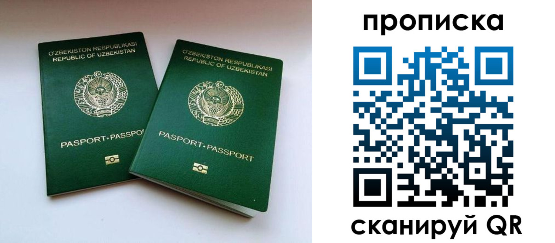 прописка поиск в Керчи